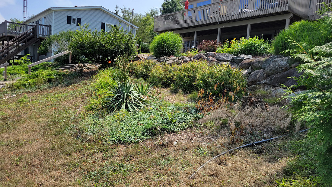 Before lakefront slope and mulch beds