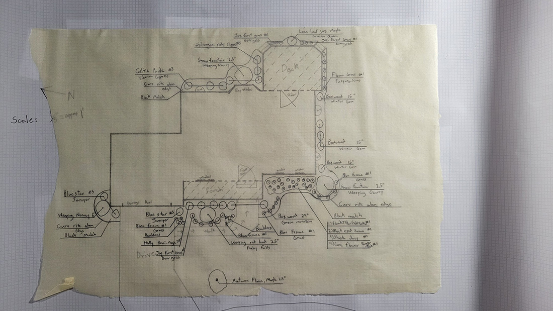 Hand-drawn landscape design plan showing plant placement and bed layout