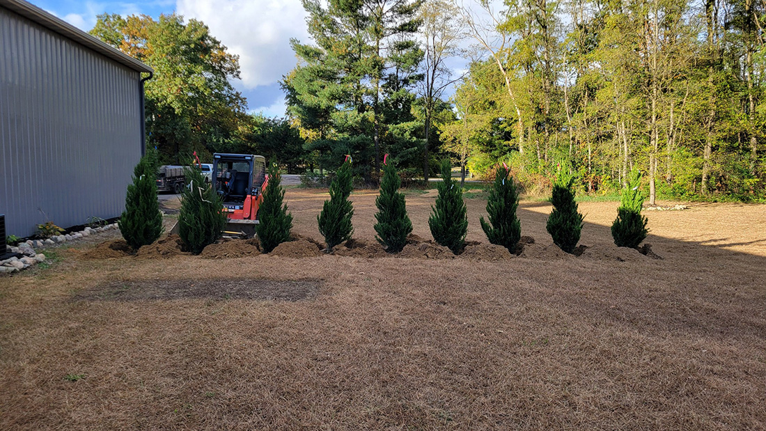 Fresh black mulch landscaping beds with newly planted trees and striped lawn, Jackson MI