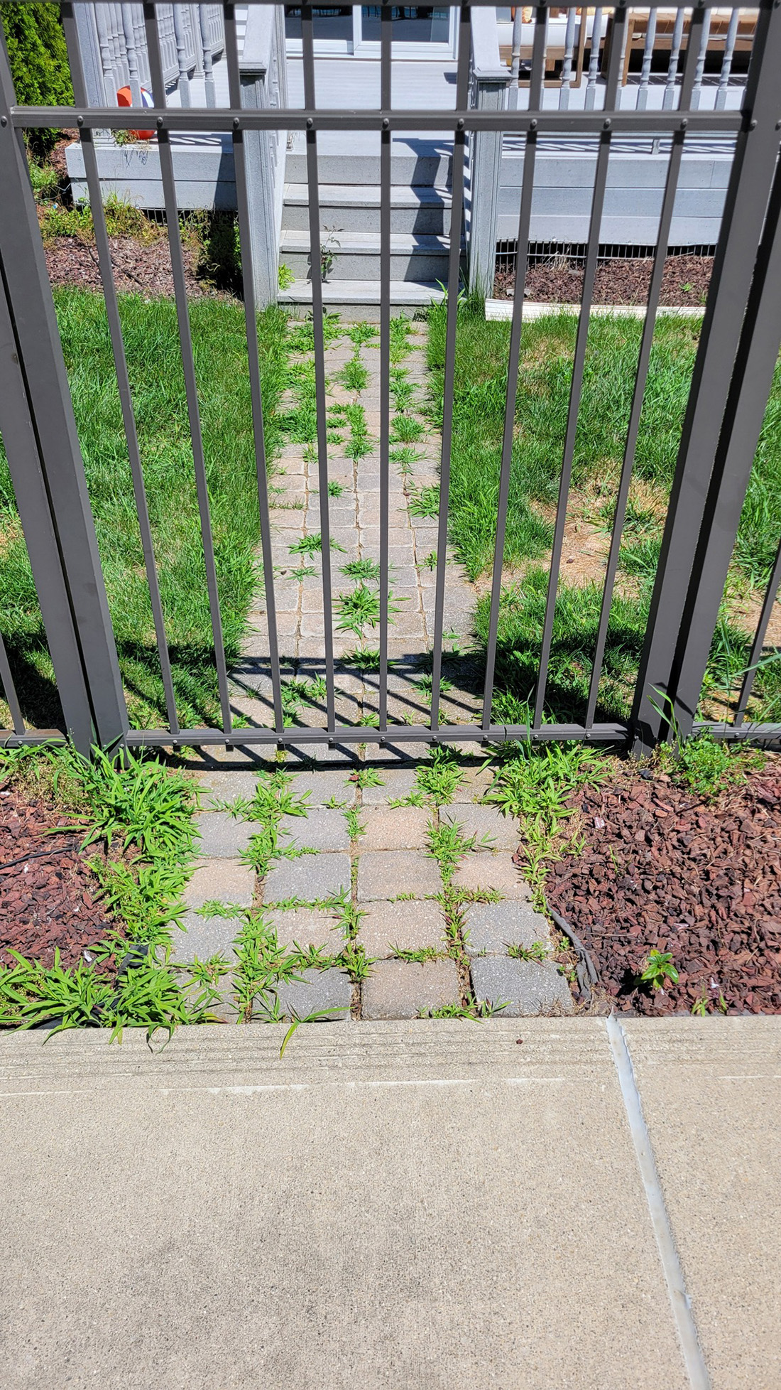 Lakeside paver patio with bluestone steps and natural boulder accents