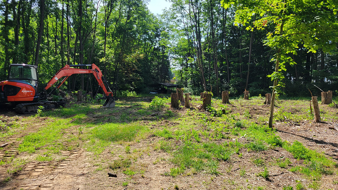 Shrub trimming and tree installation Jackson MI