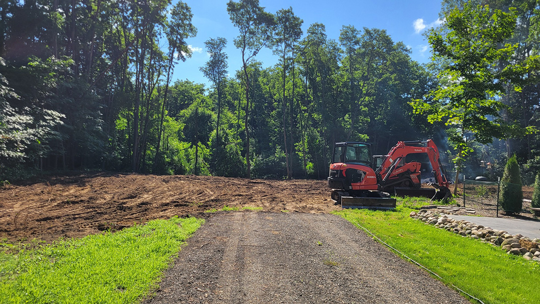 Before land clearing project