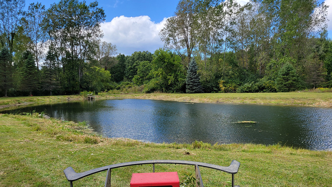 Rural acreage pond with freshly mowed and maintained banks, Jackson County MI